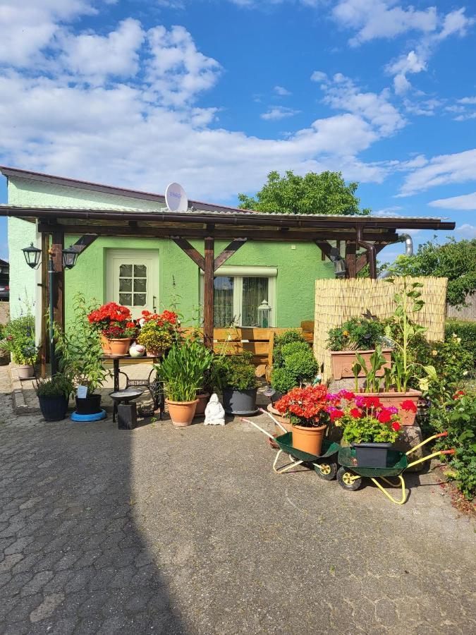 Ferienwohnung Bauerngarten Klein Vielen Eksteriør billede